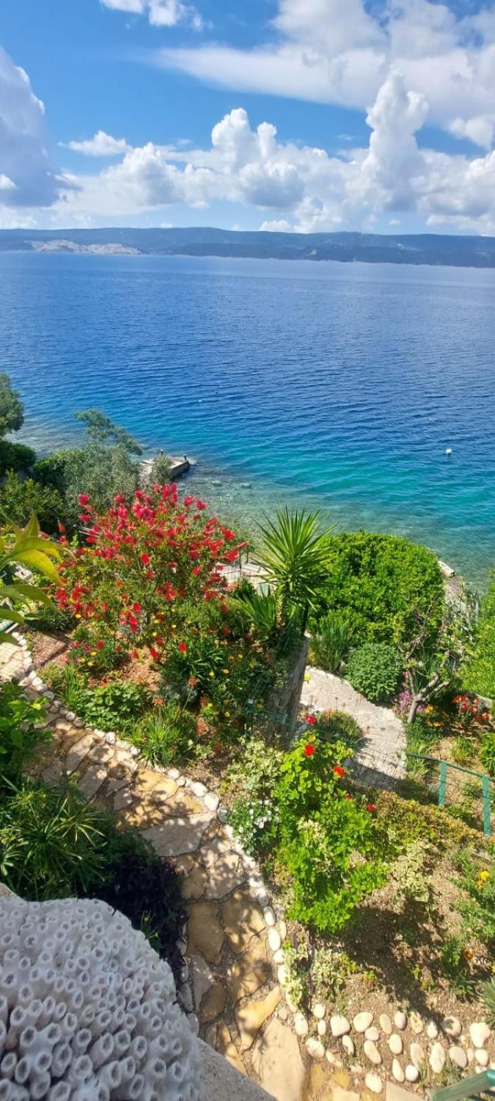 Apartment Toncica Omiš Zewnętrze zdjęcie