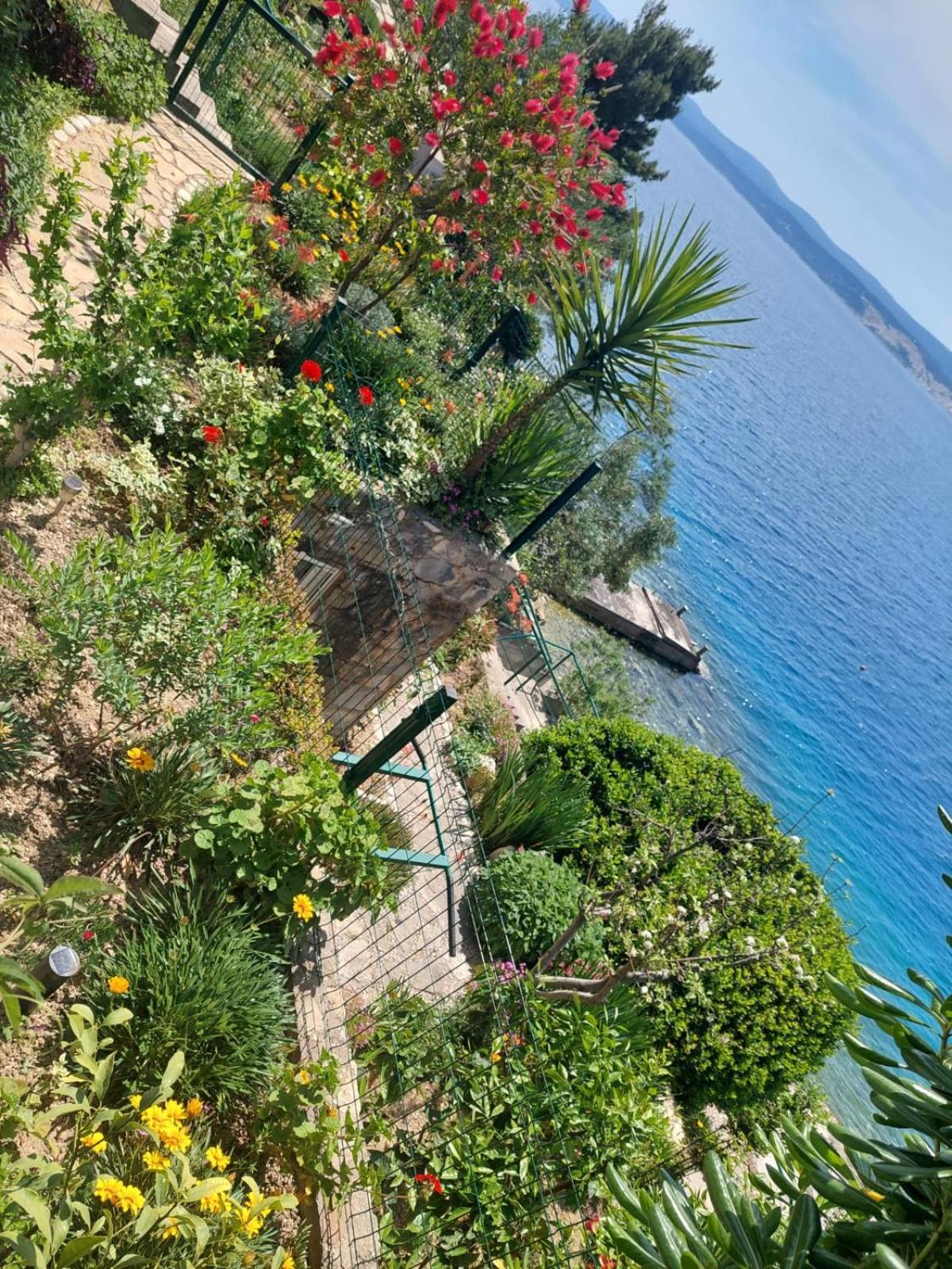Apartment Toncica Omiš Zewnętrze zdjęcie