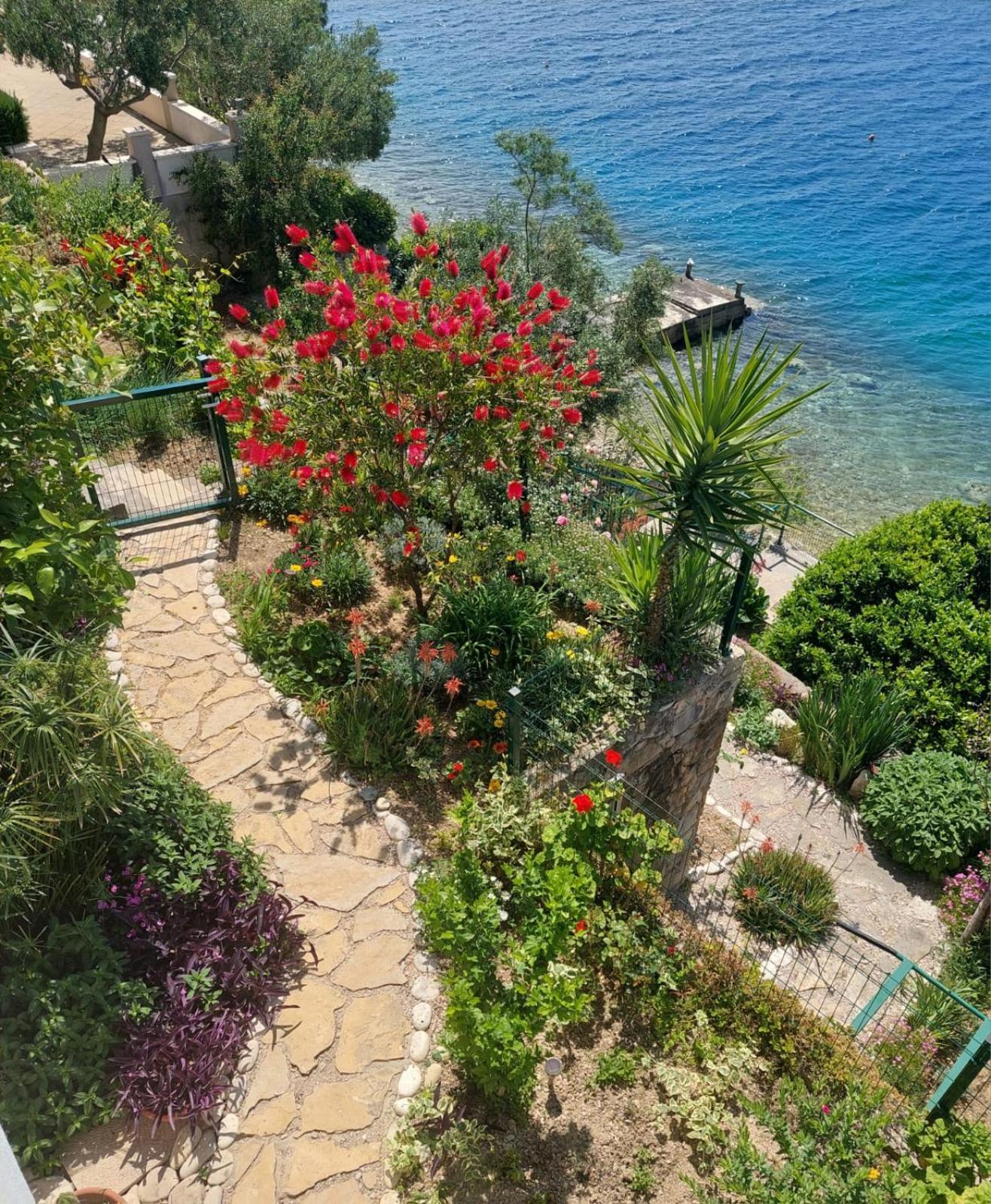 Apartment Toncica Omiš Zewnętrze zdjęcie